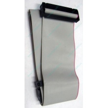 FDD шлейф (Рубцовск)