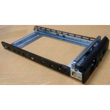 Салазки GMH100100AG0 для HDD для Infortrend EonStor (Рубцовск)