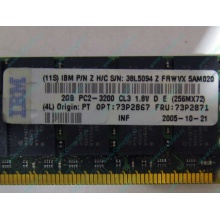 IBM 73P2871 73P2867 2Gb (2048Mb) DDR2 ECC Reg memory (Рубцовск)