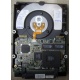 Жесткий диск 18.2Gb IBM Ultrastar DDYS-T18350 Ultra3 SCSI (Рубцовск)