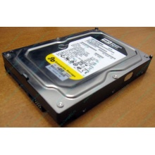 Жесткий диск 160Gb WD WD1602ABKS SATA (Рубцовск)