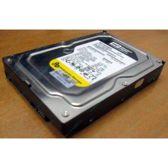 Жесткий диск 160Gb WD WD1602ABKS SATA (Рубцовск)