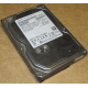 HDD 500Gb Hitachi HDS721050DLE630 донор на запчасти (Рубцовск)