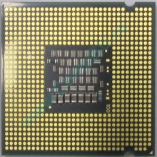 Процессор Intel Celeron Dual Core E1200 (2x1.6GHz) SLAQW socket 775 (Рубцовск)