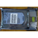 HDD 146.8Gb HP 360205-022 404708-001 404670-002 (Рубцовск)