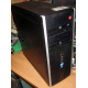 БУ компьютер HP Compaq Elite 8300 (Intel Core i3-3220 (2x3.3GHz HT) /4Gb /250Gb /ATX 320W) - Рубцовск
