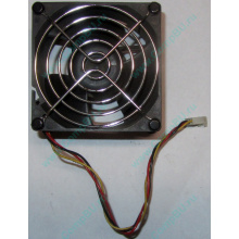 Вентилятор EFB0812HHE IBM 59P23B1 FRU 59P2572 (Рубцовск)