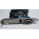 NV18-3710D 64Mb nVidia GeForce4 MX440 AGP 8x (Рубцовск)