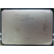 AMD Opteron 6128 OS6128WKT8EGO (Рубцовск)